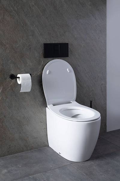 Чаша приставного унитаза Allen Brau Fantasy белый 4.11007.20