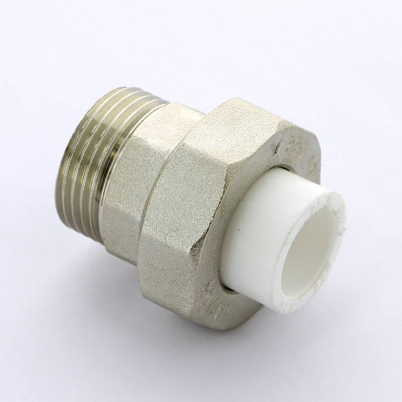 Муфта комбинированная разборная Pro Aqua 20 мм x 1 Н PA21011