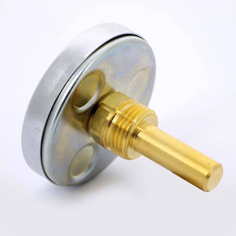 Термометр биметаллический Watts F+R801 63 мм 0-160 °C погружной гильза 50 мм 10005806