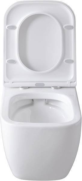 Унитаз подвесной Allen Brau Infinity безободковый 36x51x35 см белый 4.21004.20