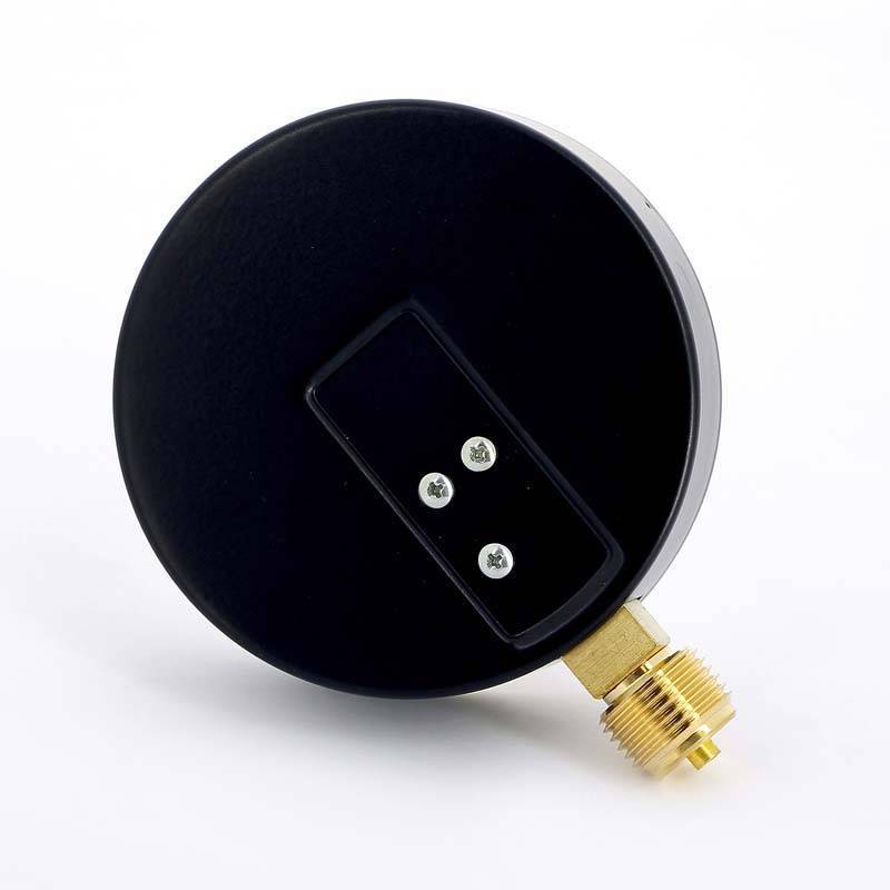 Манометр радиальный Watts F+R250 100 мм 1/2 10 бар 10008078