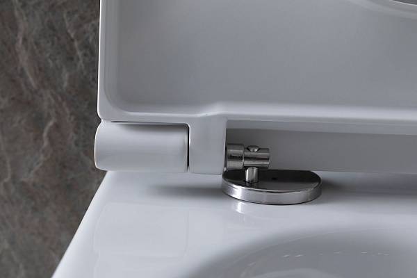 Чаша подвесного унитаза Allen Brau Reality белый 4.32006.20