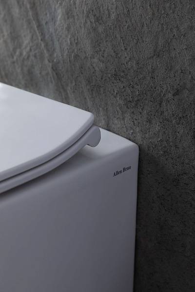 Чаша приставного унитаза Allen Brau Fantasy белый 4.11007.20