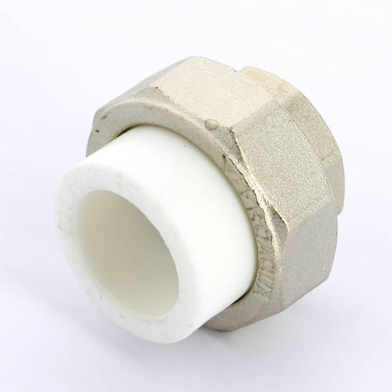 Муфта комбинированная разборная Pro Aqua 25 мм x 3/4 В PA20014