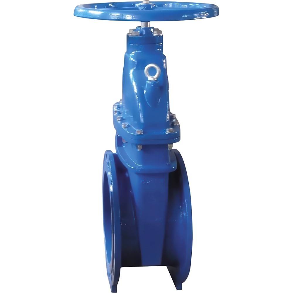 Задвижка чугунная фланцевая Giacomini DN200 R55FLY020