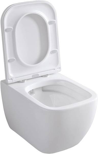 Унитаз подвесной Allen Brau Infinity безободковый 36x51x35 см белый 4.21004.20