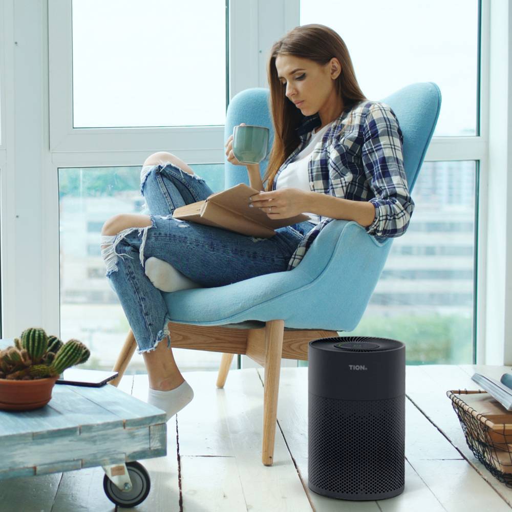 Очиститель воздуха Tion IQ 200 черный IQ 200