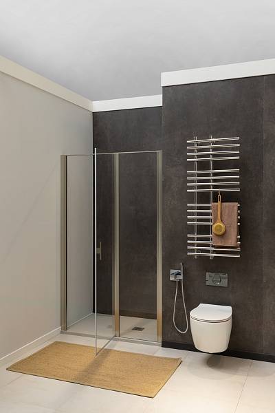 Душевая дверь Allen Brau Priority 140x200 см серебро стекло прозрачное 8 мм 3.31035.BA