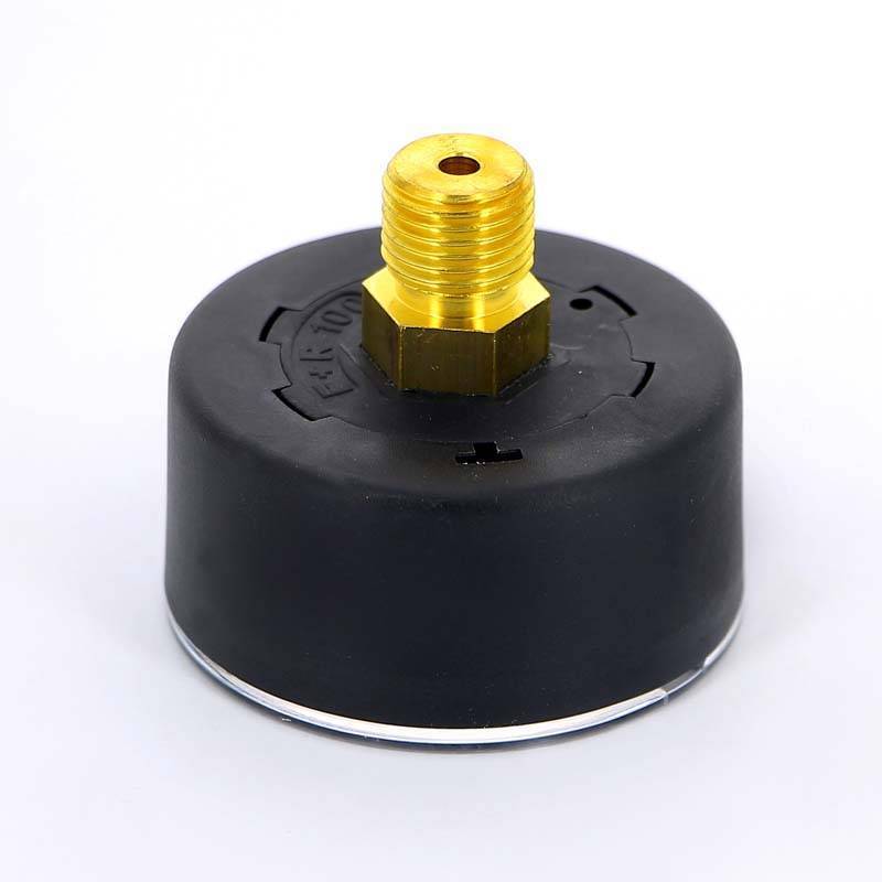 Манометр аксиальный Watts F+R100 6 бар 50 мм 1/4 10008092