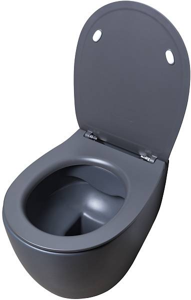 Чаша подвесного унитаза Allen Brau Fantasy антрацит 4.11004.AN