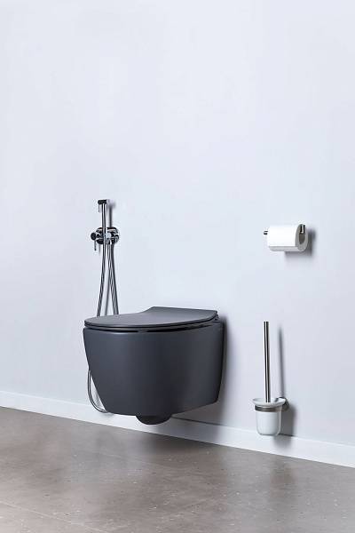 Чаша подвесного унитаза Allen Brau Fantasy антрацит 4.11004.AN