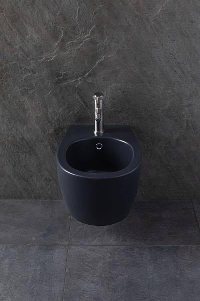 Биде подвесное Allen Brau Fantasy серый 4.11006.AN