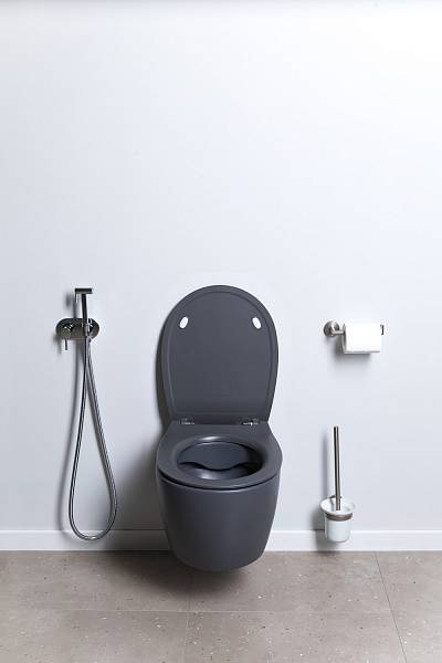 Чаша подвесного унитаза Allen Brau Fantasy антрацит 4.11004.AN