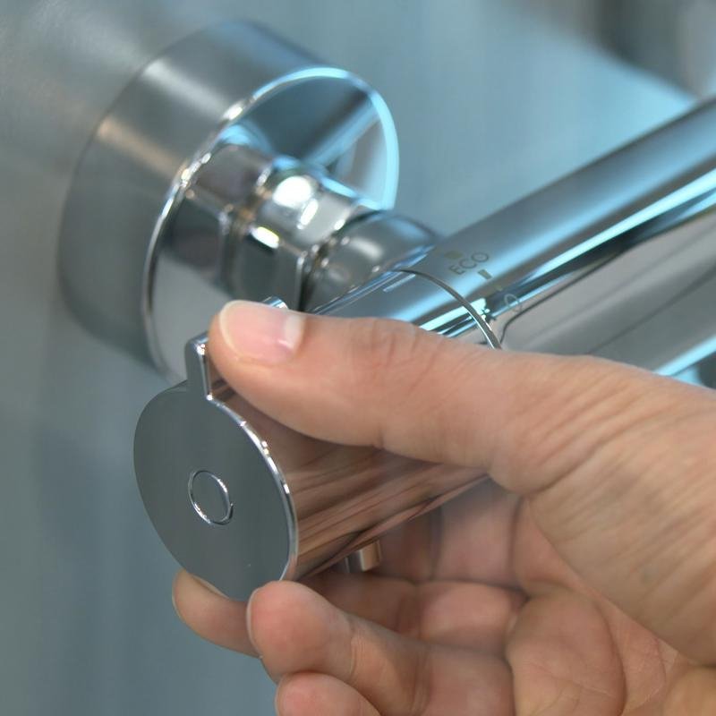 Смеситель для душа термостатический Hansgrohe Ecostat 1001 CL 13211000