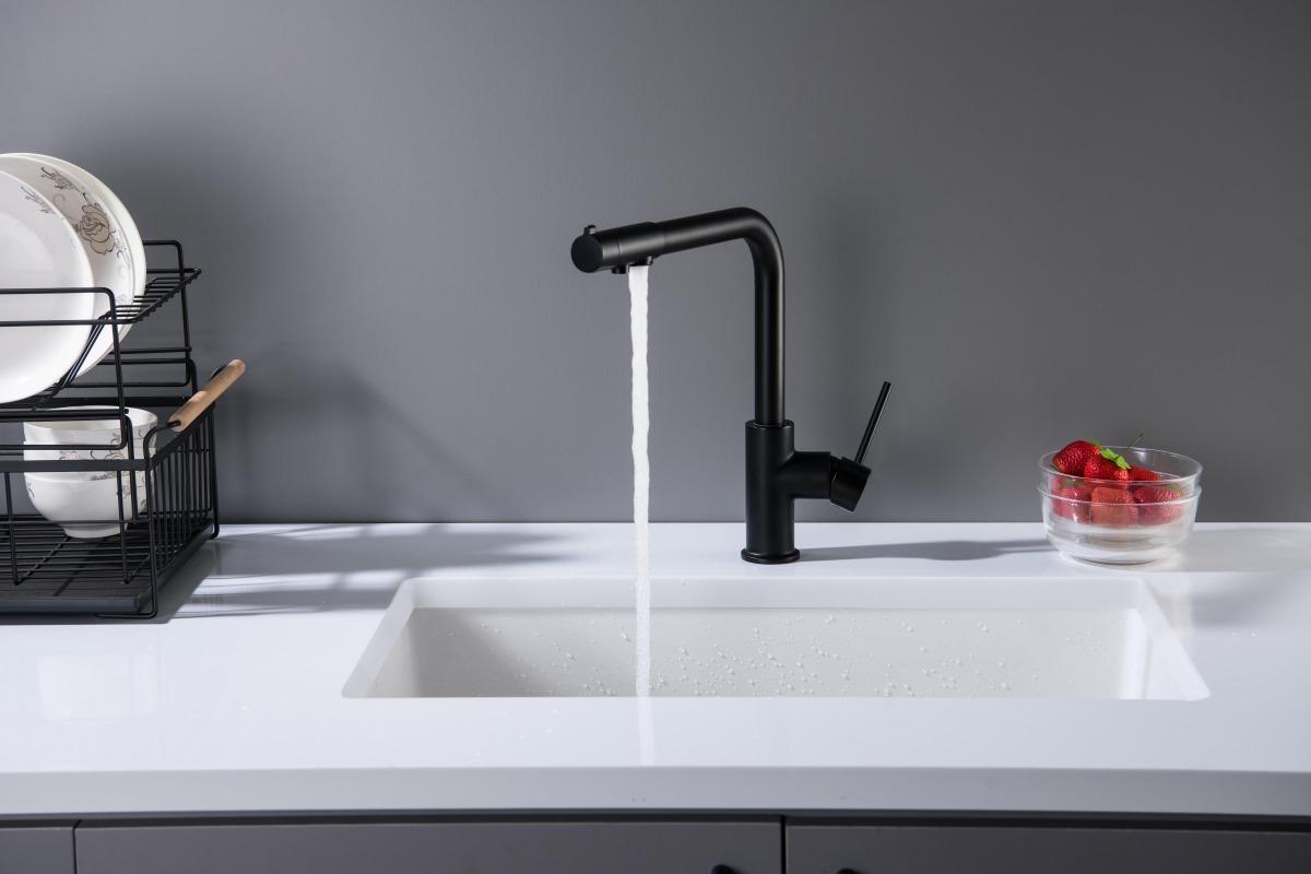 Смеситель для кухни Aquanet Европа под фильтр матовый черный AQ1386MB