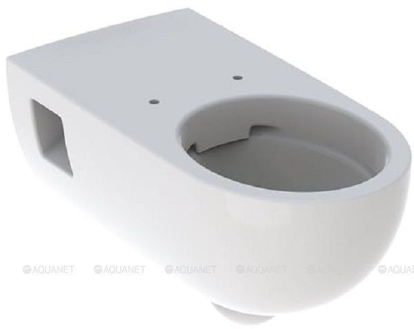 Унитаз подвесной Geberit Renova Comfort Rimfree 70 см 500.693.01.1