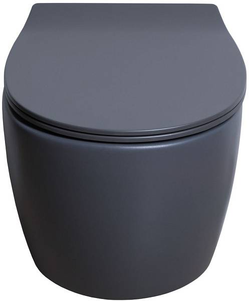 Чаша подвесного унитаза Allen Brau Fantasy антрацит 4.11004.AN