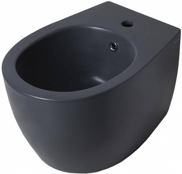 Биде подвесное Allen Brau Fantasy серый 4.11006.AN