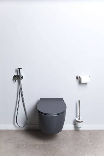 Чаша подвесного унитаза Allen Brau Fantasy антрацит 4.11004.AN