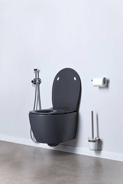 Чаша подвесного унитаза Allen Brau Fantasy антрацит 4.11004.AN