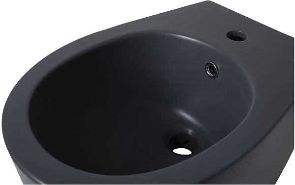 Биде подвесное Allen Brau Fantasy серый 4.11006.AN