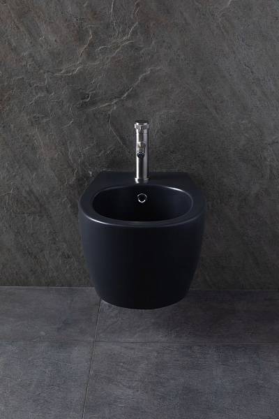 Биде подвесное Allen Brau Fantasy серый 4.11006.AN