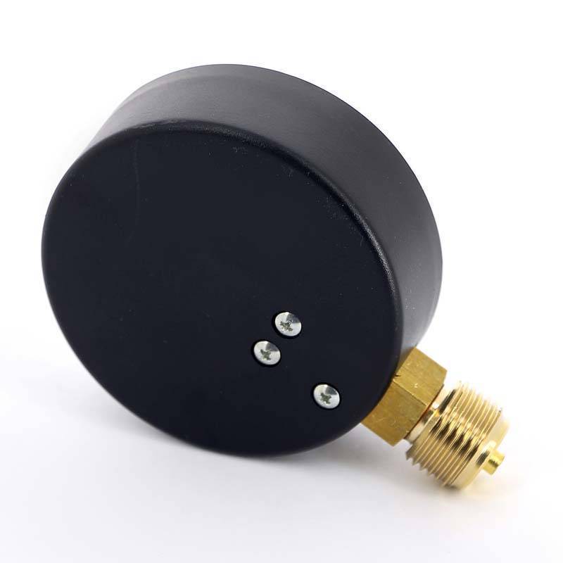 Манометр радиальный Watts F+R250 100 мм 1/2 16 бар 10008079