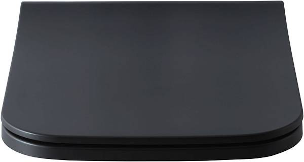 Крышка-сиденье для унитаза Allen Brau Infinity 36x44x4.5 см черный 4.21014.31