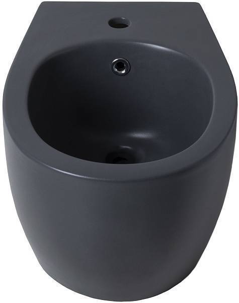 Биде подвесное Allen Brau Fantasy серый 4.11006.AN