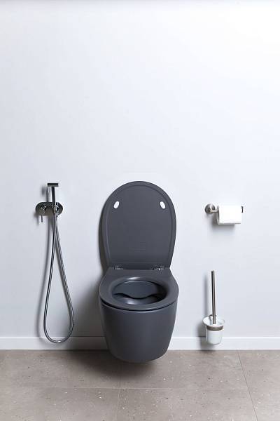 Чаша подвесного унитаза Allen Brau Fantasy антрацит 4.11004.AN