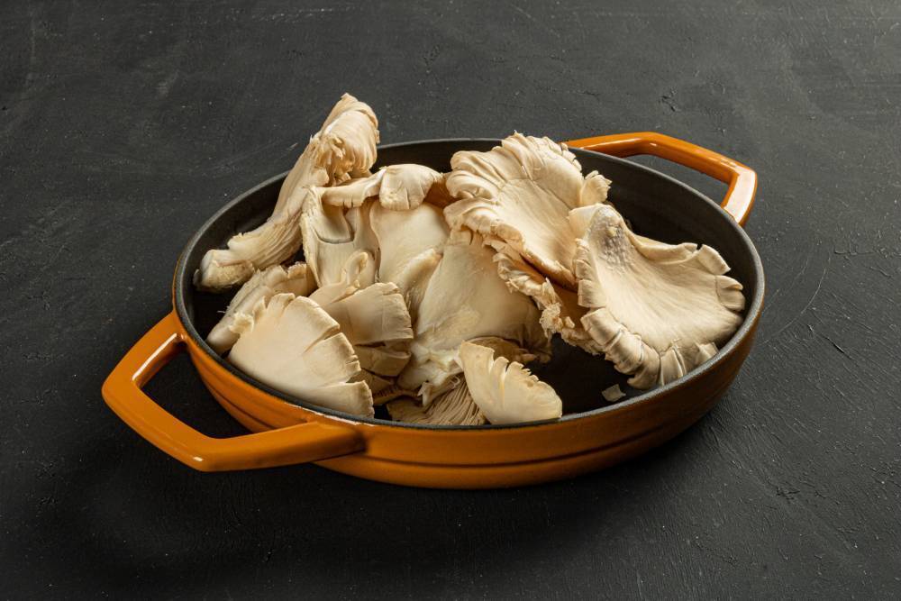 Сковорода с двумя ручками Hascevher KTV 16 см Yellow A622516