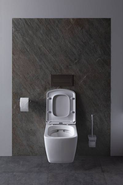 Чаша подвесного унитаза Allen Brau Liberty белый 4.33004.20