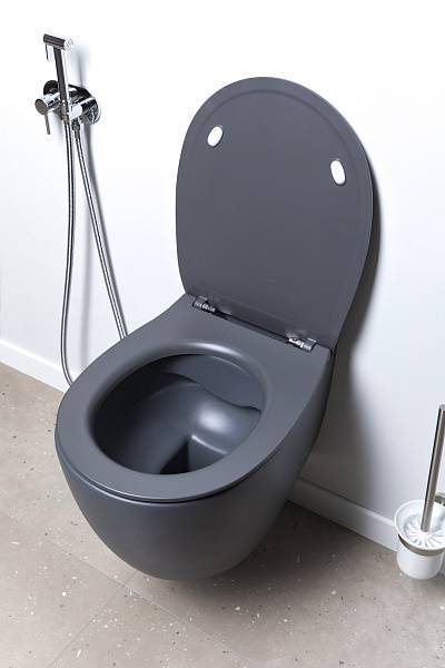 Чаша подвесного унитаза Allen Brau Fantasy антрацит 4.11004.AN