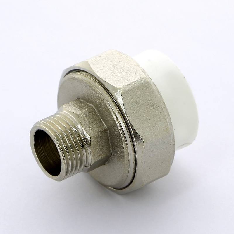 Муфта комбинированная разборная Pro Aqua 63x2 НР PA21024