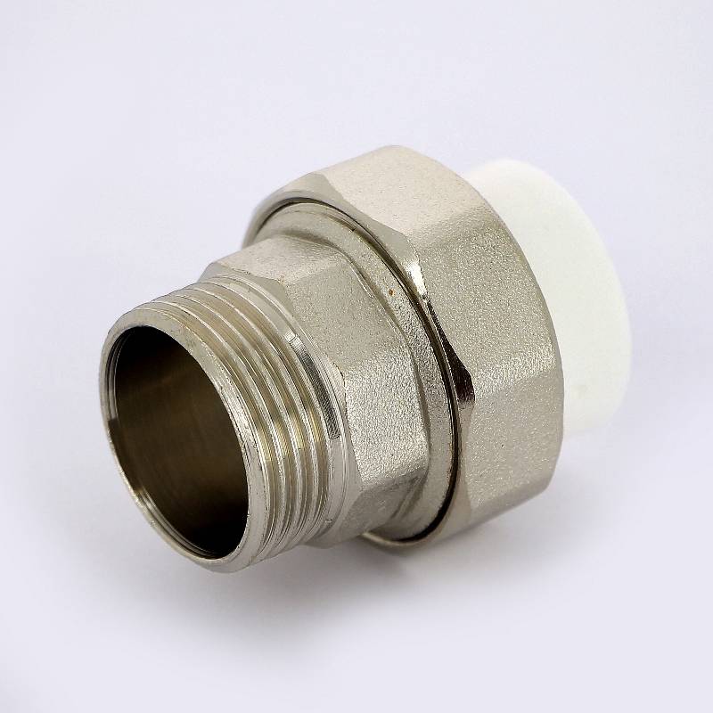 Муфта комбинированная разборная Pro Aqua 25x1 НР PA21015