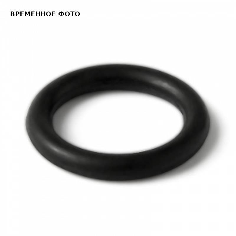 Кольцо уплотнительное для американки PRO AQUA 63 мм PA20918