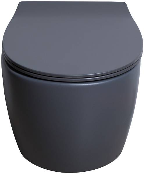 Чаша подвесного унитаза Allen Brau Fantasy антрацит 4.11004.AN