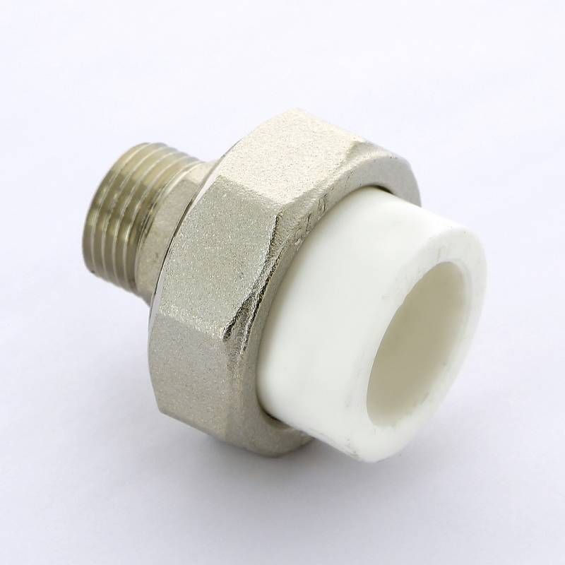 Муфта комбинированная разборная Pro Aqua 63x2 НР PA21024