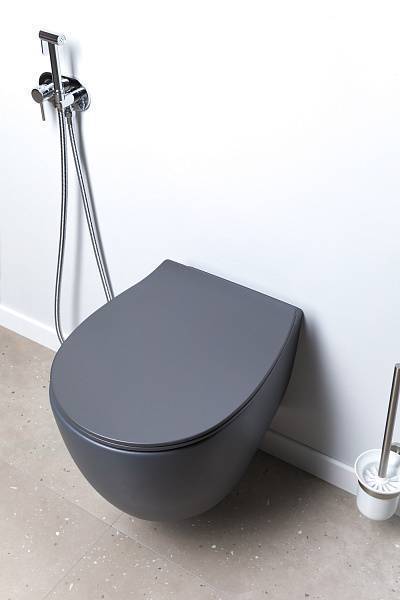 Чаша подвесного унитаза Allen Brau Fantasy антрацит 4.11004.AN