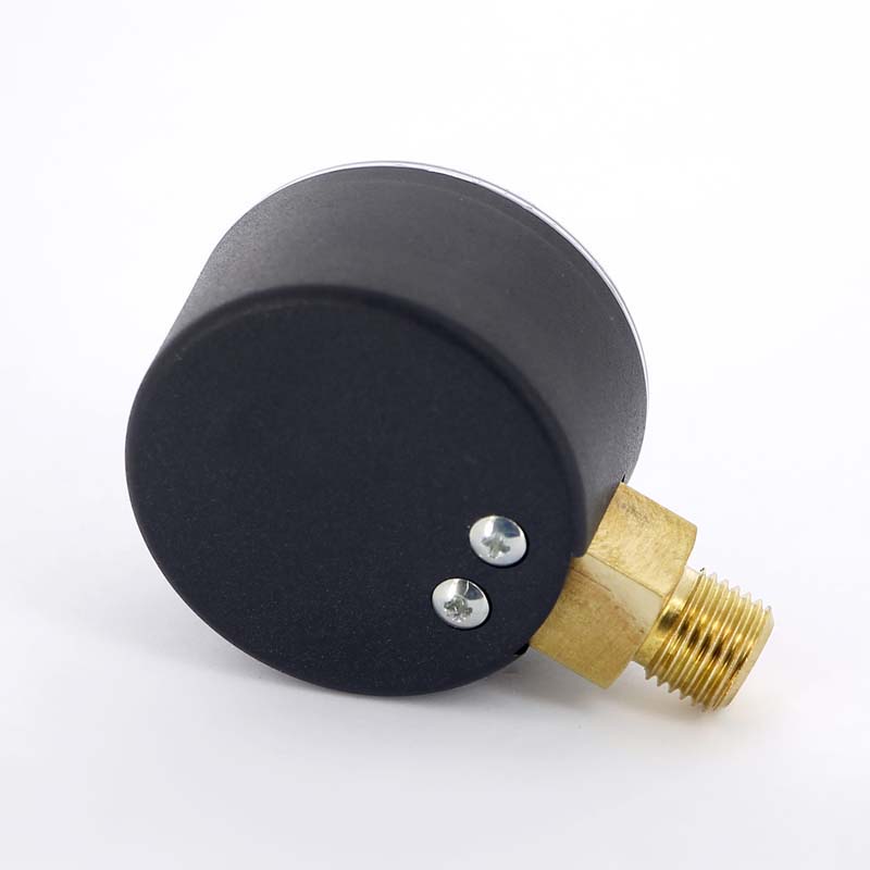 Манометр радиальный Watts F+R200 50 мм 1/4 6 бар 10007378