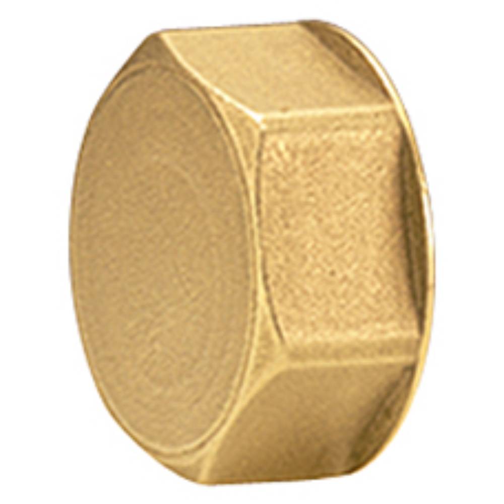 Пробка для коллектора Giacomini 3/4 ВР R594Y005