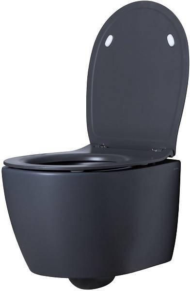 Чаша подвесного унитаза Allen Brau Fantasy антрацит 4.11004.AN