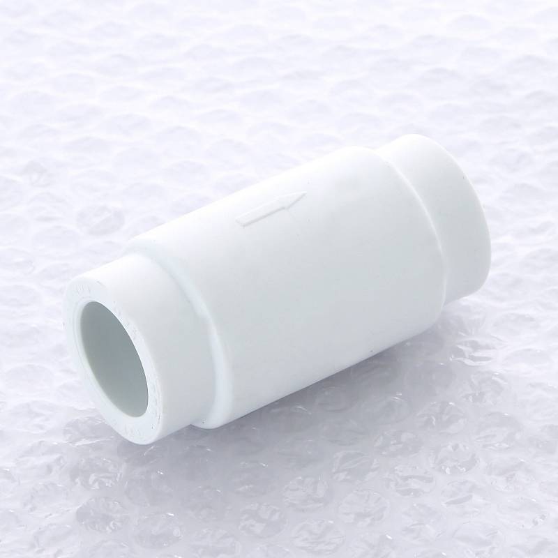 Клапан обратный Pro Aqua ДУ25 1 PA47010