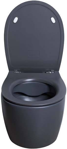 Чаша подвесного унитаза Allen Brau Fantasy антрацит 4.11004.AN