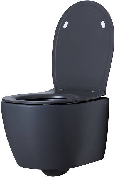 Чаша подвесного унитаза Allen Brau Fantasy антрацит 4.11004.AN