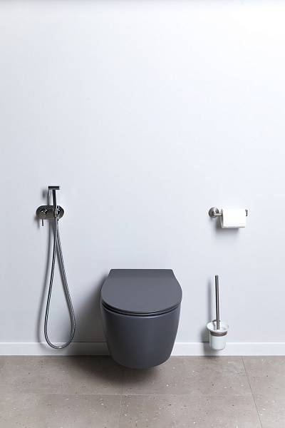 Чаша подвесного унитаза Allen Brau Fantasy антрацит 4.11004.AN