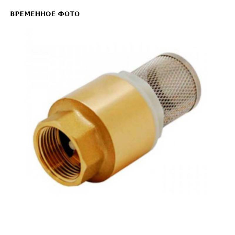 Клапан обратный погружной Bugatti 1 с резиновым затвором и литым фильтром 01980002