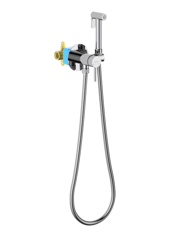 Комплект для гигиенического душа встроенный Aquatek Европа AQ1021CR