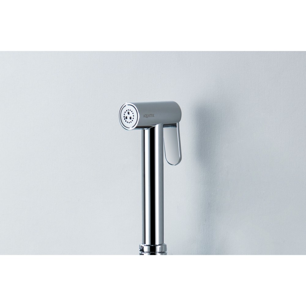 Комплект для гигиенического душа встроенный Aquatek Европа AQ1021CR