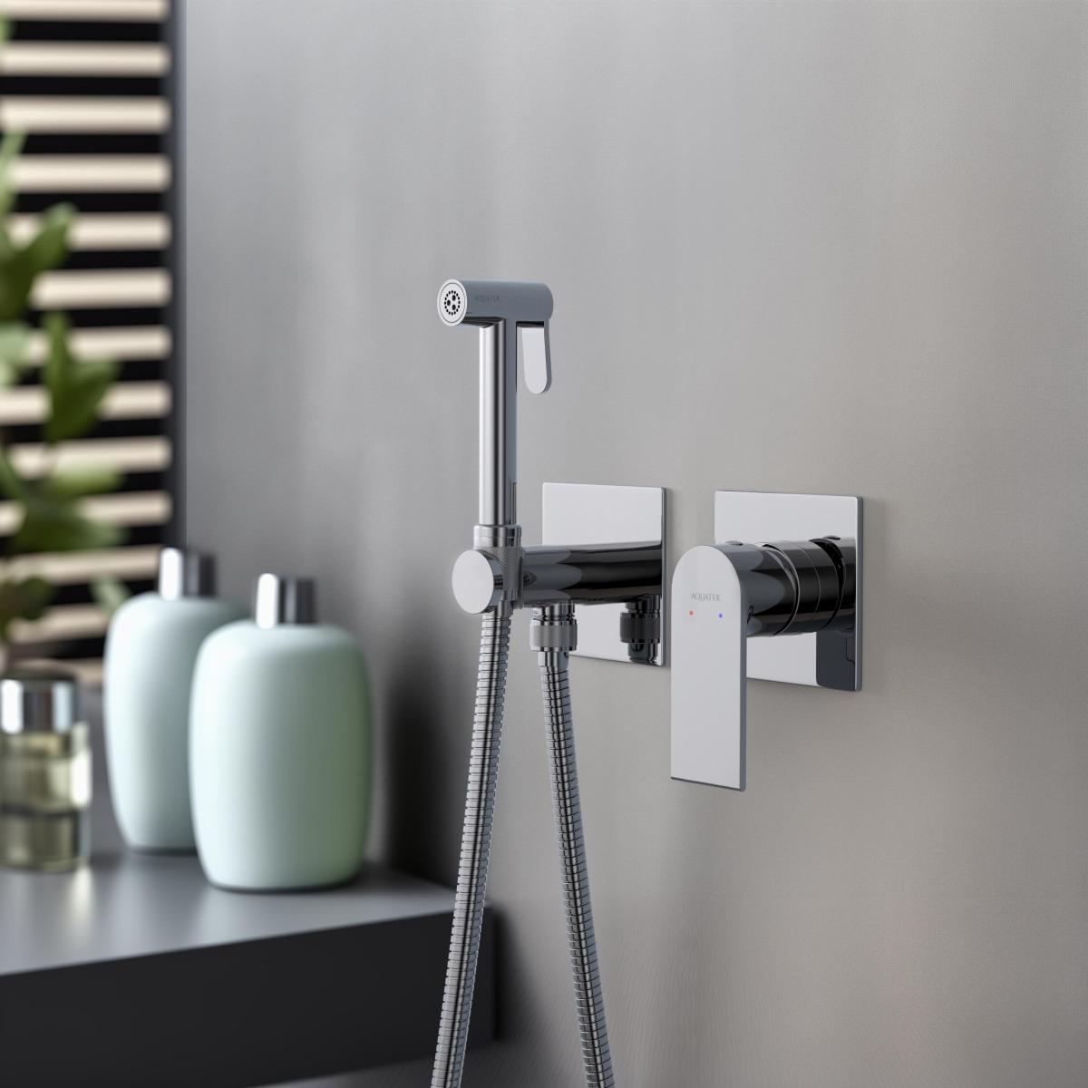 Комплект для гигиенического душа Aquanet Лира встроенный 2 отверстия хром AQ1420CR